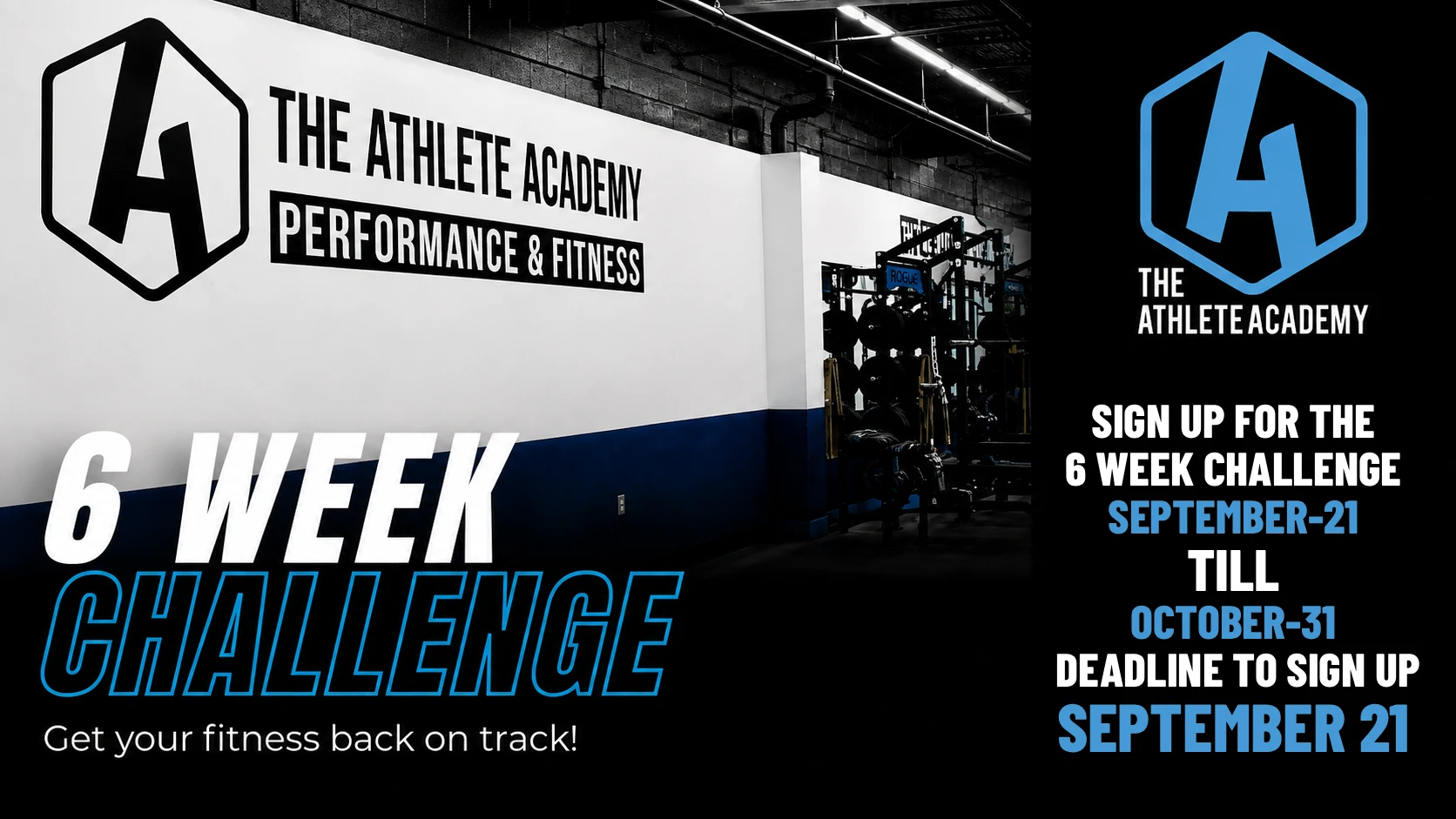 6 Week Challenge